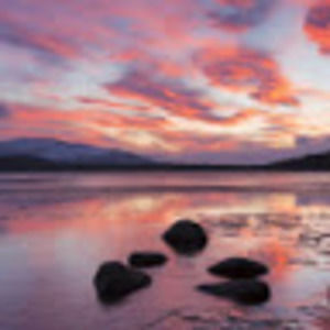 Meet your Posher, Madeline